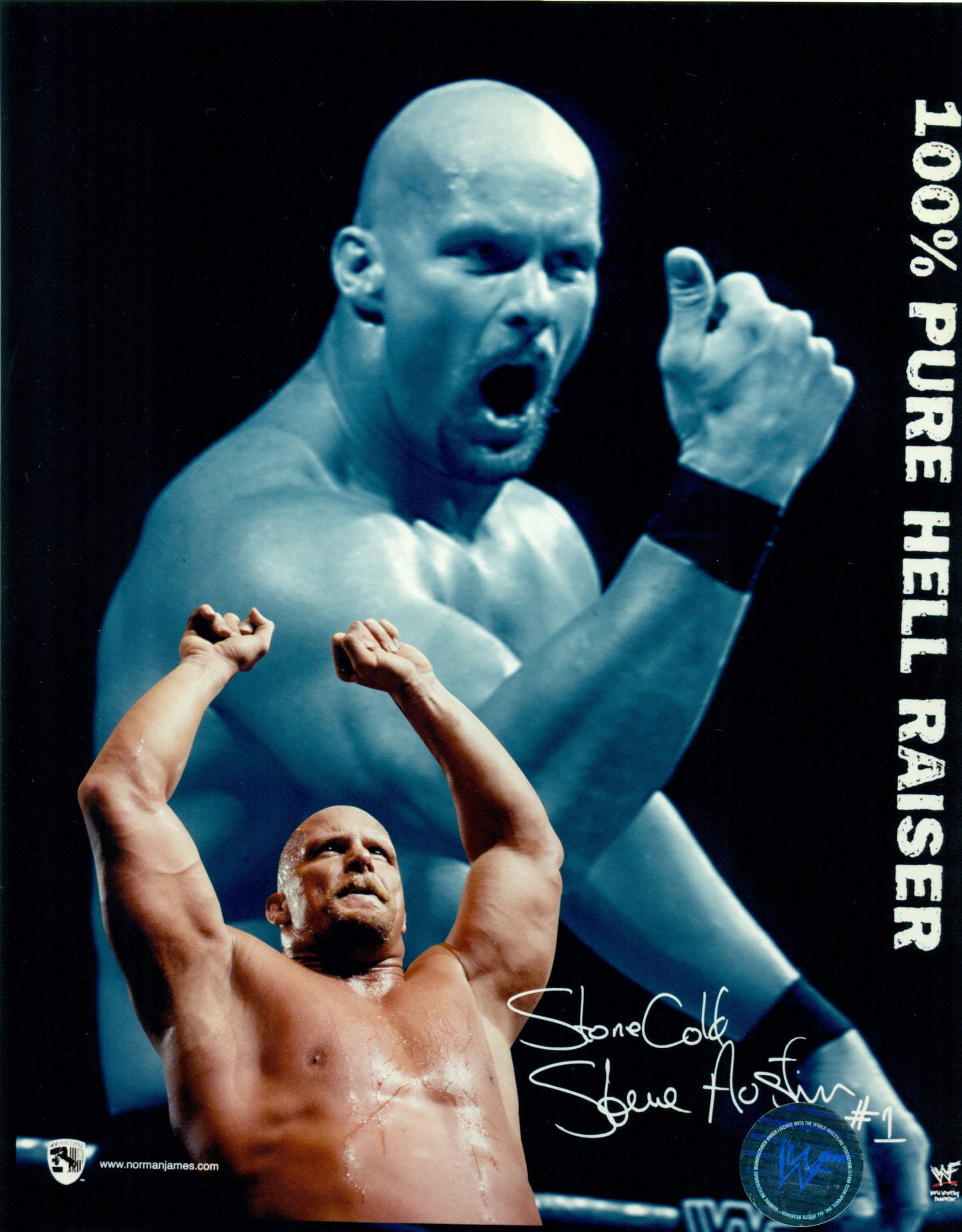 Stone Cold Steve Austin 8x10 Photograph