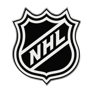 NHL Logo Lapel Pin