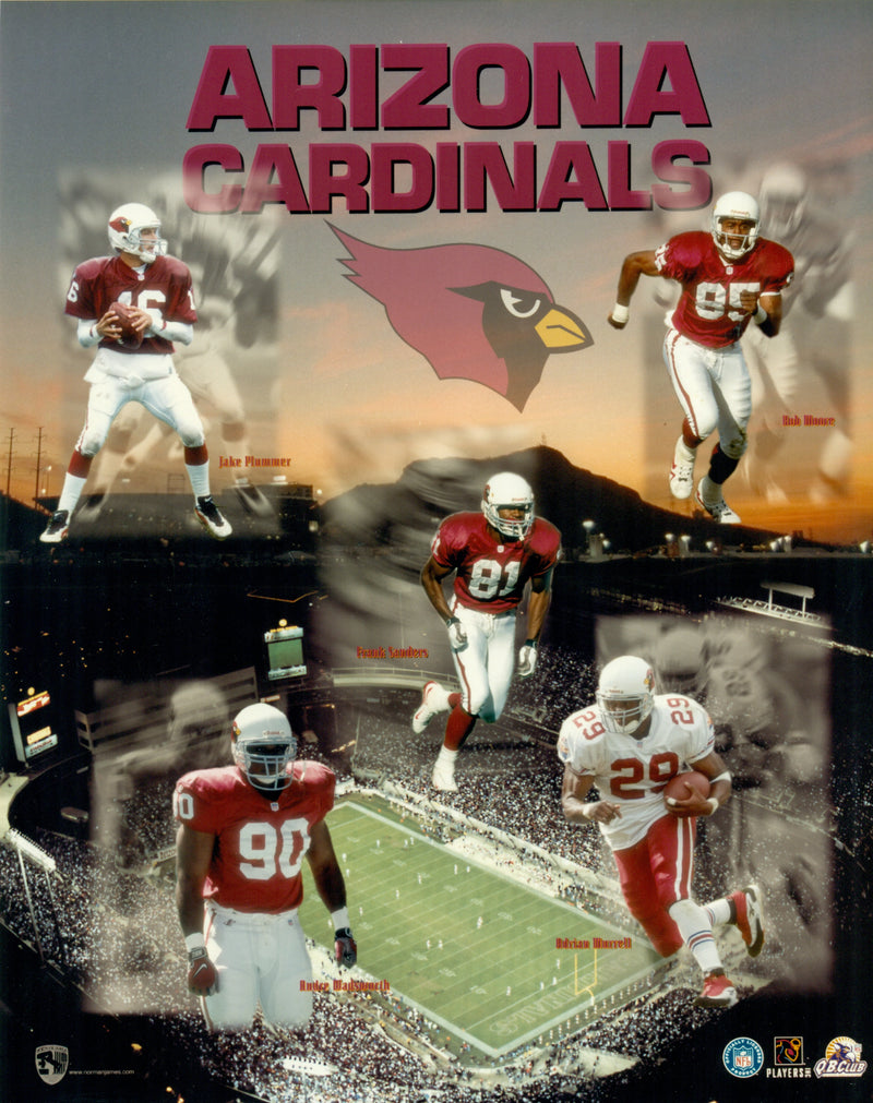 Arizona Cardinals 8x10 Photograph