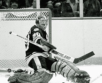 Gerry Cheevers Boston Bruins 16x20 Photograph