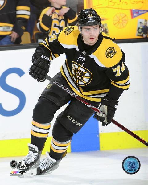 Jake DeBrusk Boston Bruins 8x10 Photograph